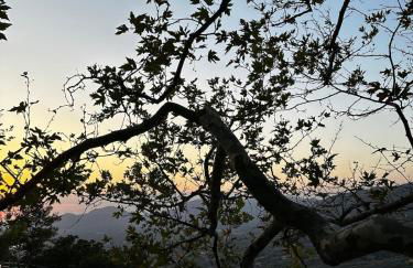 Εξοχική Μονοκατοικία με αυλή και εξωτερική αποθήκη-Country house with yard and external warehouse - Foto 7