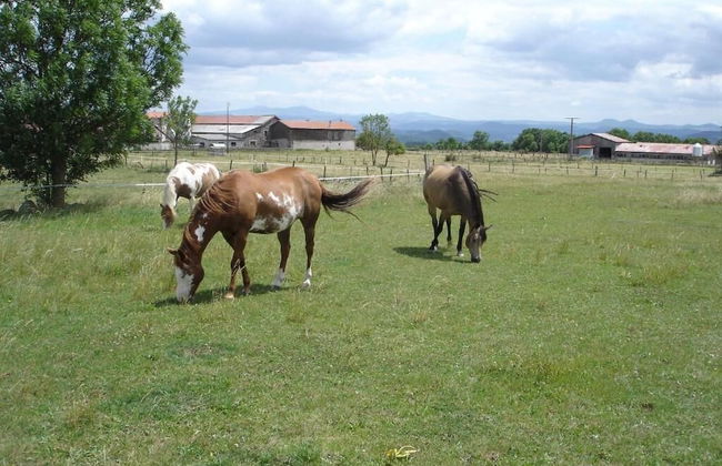 Appartement Au bon Gré d'Hugoline - Foto 33