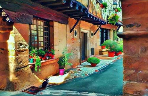 MAISON DE NOSTRADAMUS*** OCCITANIE INSOLITE - Foto 15