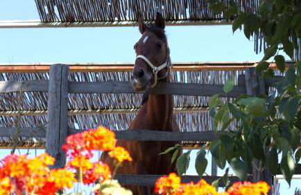 Agriturismo San Cataldo Farm Home - Foto 122