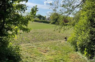 Totally Private, idyllic House with hot tub in an acre of private gardens - Foto 47