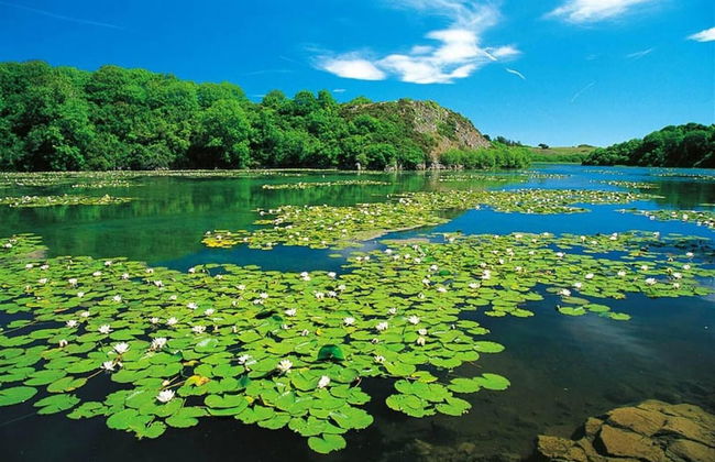 Stunning Apartment Overlooking Pembroke Castle - Foto 14
