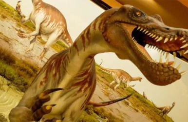 Casa Melchor - Photo 71