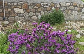 Nafpaktos cottage by the sea for travelers and dreamers! - Foto 76