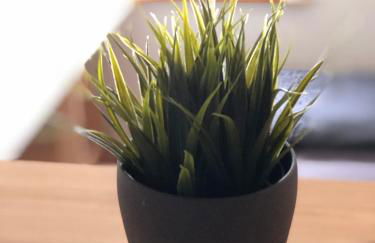 Ferienwohnung am Schlössle - Foto 31