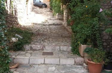 Ανεμώνη Αράχωβα - Foto 11