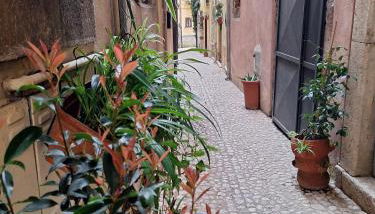 Casa Napoleone - Foto 4