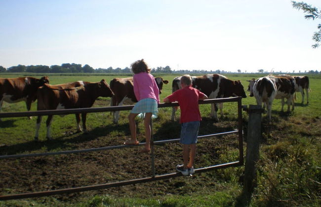 Thias J 3 With Winter Garden - Foto 12