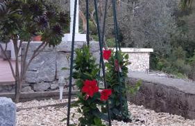 Apartments Nadine Mljet Komfort mit Meerblick - Foto 28