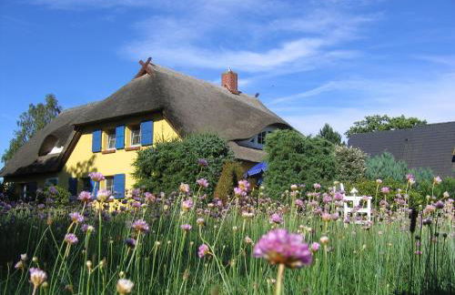 Ferienwohnungen Reetwinkel in Wieck - Foto 27