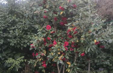 Alqueria De Hurdes - Foto 4