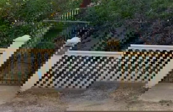 Apartmentantica Family Apartment - Foto 12