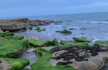 Bliss Beach Lodge Breath taking views - Foto 20