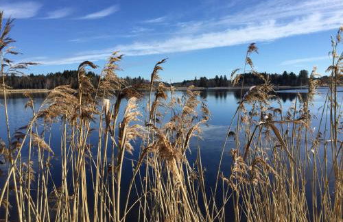 Bergnest Bad Bayersoien - Foto 16