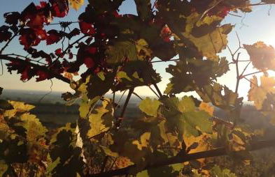 Agriturismo La Torretta da Valentina - Foto 47