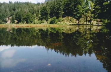 Ferienwohnung Hirschkopf - Foto 7