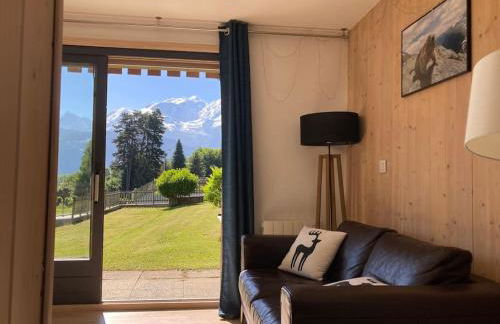 La marmotte: Vue Mont Blanc, terrasse, parking - Foto 6