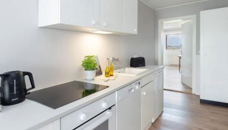 Strandkoje - Strandläufer - Foto 5