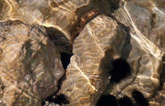 Faros Rooms - Foto 26