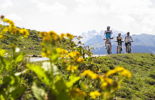 Graceful Chalet in Gaschurn With Sauna - Foto 80