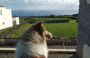 Casa do Plátano - Photo 50