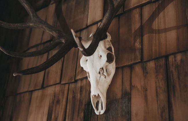 Jufenalm BOHO Hotel & Restaurant - Foto 37