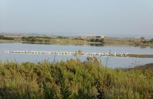 Porta dei Mari - Foto 48