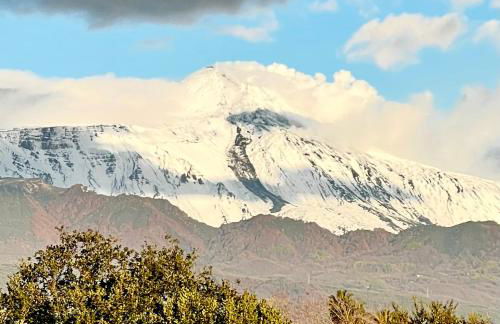 La casa di Apollo - Foto 32