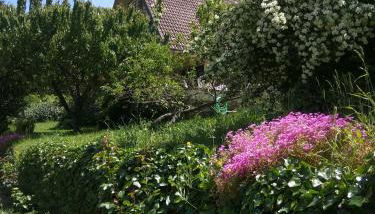 Puente Canto de Gredos - Photo 2