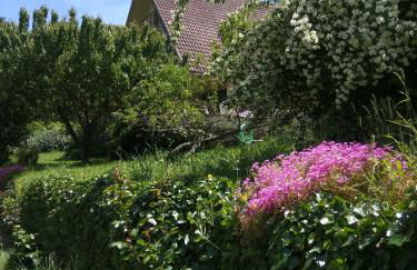 Puente Canto de Gredos - Photo 2