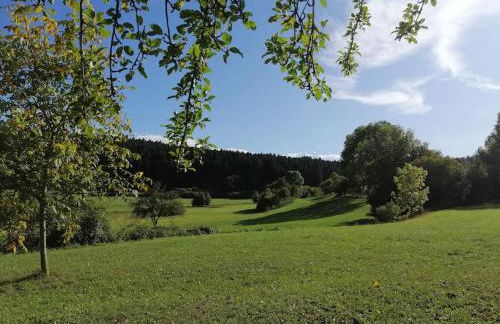 Moderne Ferienwohnung - neu renoviert - ruhige Lage - Foto 32