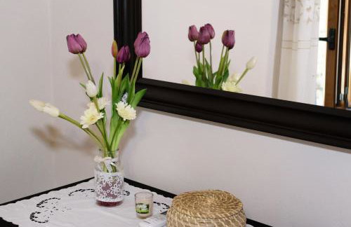 Casa Vasilia Traditional Home - Photo 13