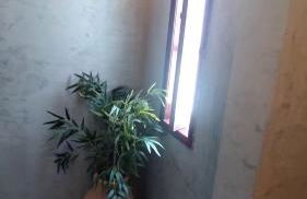 Búzios com Estilo - Foto 27