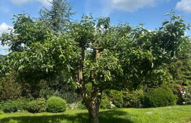 Ferienwohnung Sorpeblick - Foto 25