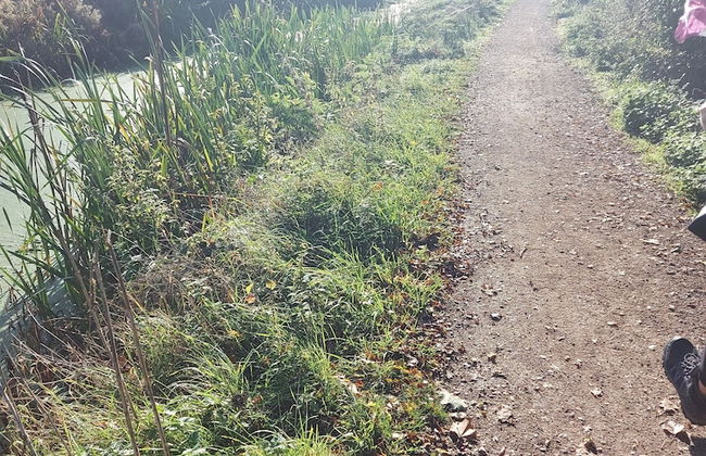 Chatterley House - Foto 53