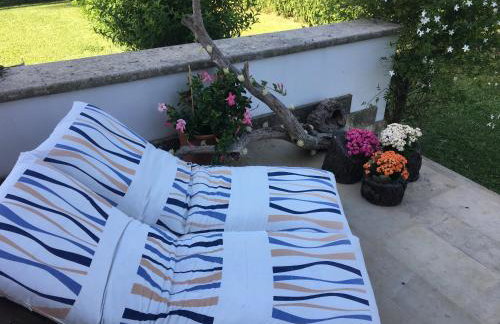 Orecchie di Lepre - Foto 13