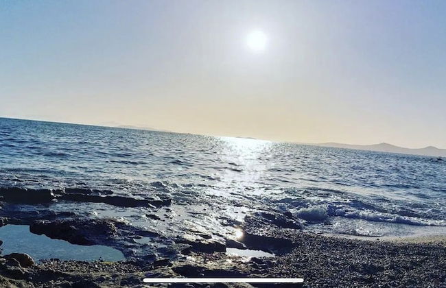 Ecological Studio Flat in Kalyvia Thorikou, Greece - Foto 37