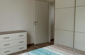 Riccio di Mare - Foto 6