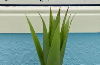 Lovely staycation with family FREE Parking & WiFi - Foto 9