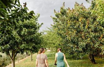 Casa das Nogueiras - Foto 64