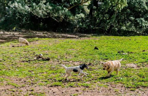 Casa rural Alicia - Foto 23