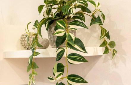 La Deva - Apartamento con garaje gratuito - Foto 7