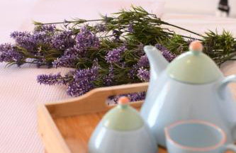 Sun Senses beach front villa with private beach - Photo 11