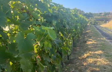 Le Case Del Merlo Turismo Rurale - Foto 108