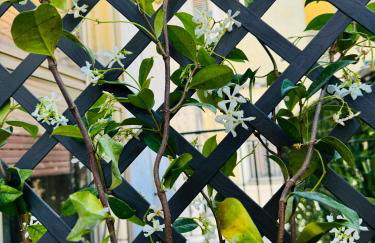 HOME SWEET, You will feel at home! - Foto 21