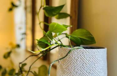 4 Bedroom DC's Best Location with Parking, Walk to Clarendon Metro, Shopping and Nightlife! - Foto 41