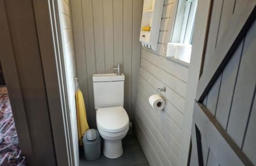 Glan yr Afon Dau - Relax, Recuperate, Enjoy - Foto 34