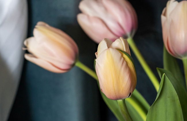 Cathedral Yard in Exeter - Foto 31