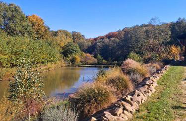 Siedlisko Sielska Dolina Nad Stawem luksusowy domek całoroczny z klimatyzacją - Foto 7