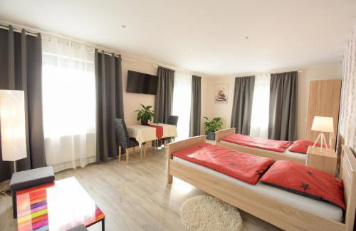 Mainzimmer - Business Apartments - Foto 31